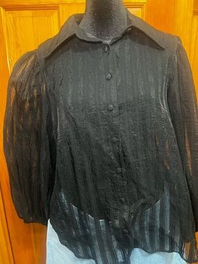 Zara Black Sheer Textured Button-Down Blouse